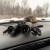 Lornetka Vortex Triumph HD 10x42-10 1826