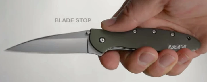 Nóż składany Kershaw Leek 1660OL-6 2161