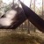 Tarp TigerWood 3 m x 3 m czarny-3 2408