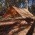 Tarp TigerWood 3 m x 2 m coyote-5 2410