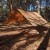 Tarp TigerWood 3 m x 3 m coyote-2 2411
