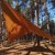 Tarp TigerWood 3 m x 3 m coyote-5 2411