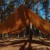 Tarp TigerWood 3 m x 4 m coyote-3 2412