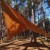 Tarp TigerWood 3 m x 4 m coyote-5 2412