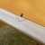 Tarp Termo TigerWood 3 m x 4 m hunter-4 2418