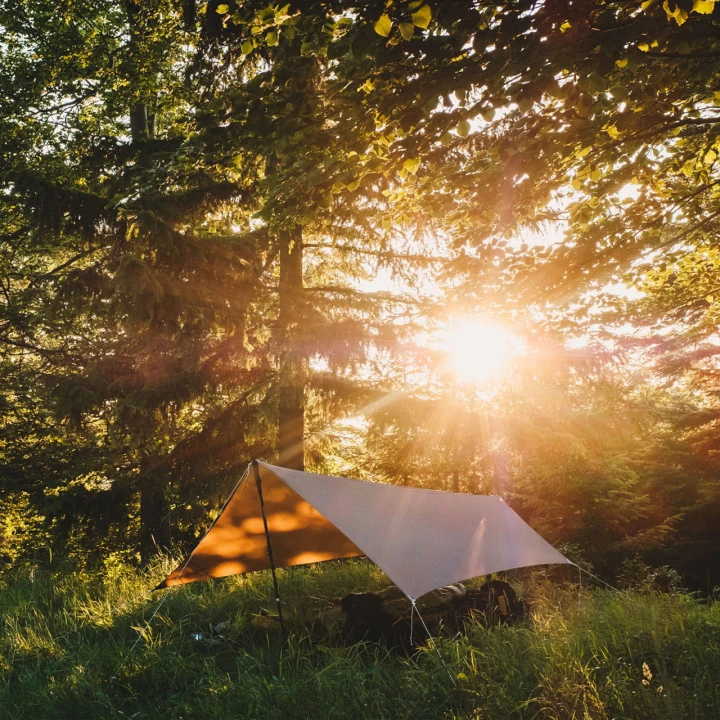 Tarp Lesovik ZMORA walnut brown-2 2427