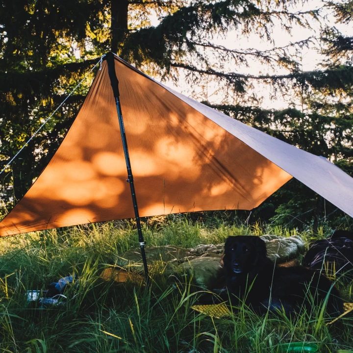 Tarp Lesovik ZMORA walnut brown-5 2427