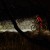 Lampa rowerowa Fenix BC26R-8 260