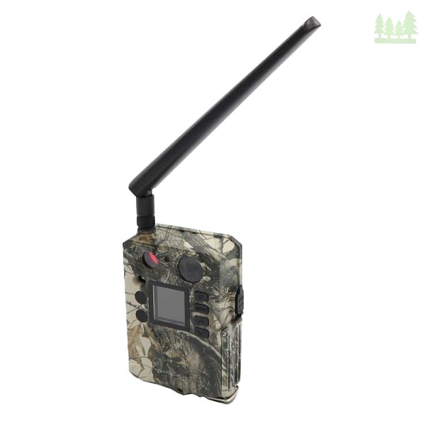 Kamera fotopułapka GSM BG310-M-1 3122 