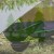 Hamak Lesovik Draka z zawieszeniem Sneka treetop green-4 3192 