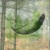 Pokrowiec Lesovik LARVA mayfly green-5 3194 