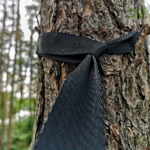 2c342397c0d9b1b48f1d3475051e69d3