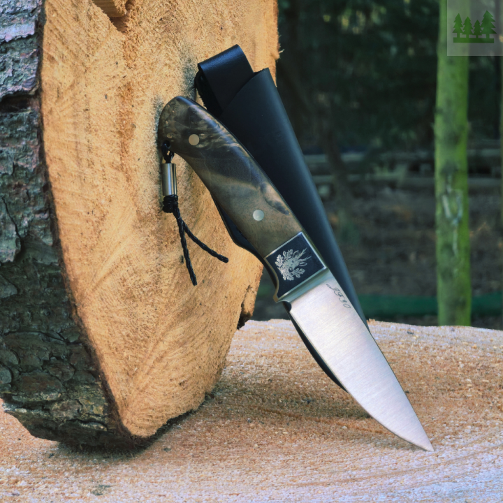 Nóż myśliwski Falke JF30-2 na pieńku z czarną skórzaną pochwą Ręcznie robiony nóż myśliwski Falke JF30-2 ze stali N690, zaprezentowany na pieńku w naturalnym otoczeniu. Widoczna skórzana pochwa w kolorze czarnym widok boczny