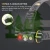 Main12.webp