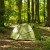 Namiot turystyczny Alpinus Velebit 2 zielony-13 3675 