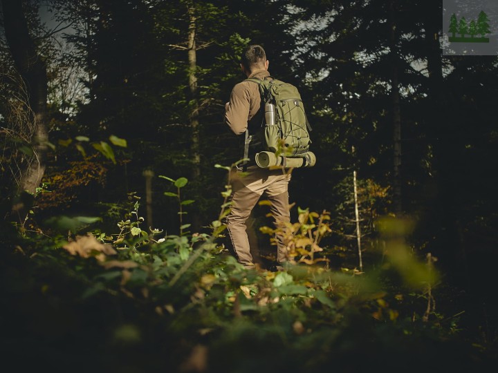 cb9572304611c14259a18df700c5bb29