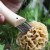 Nóż Opinel 8 na grzyby w blistrze-4 1037