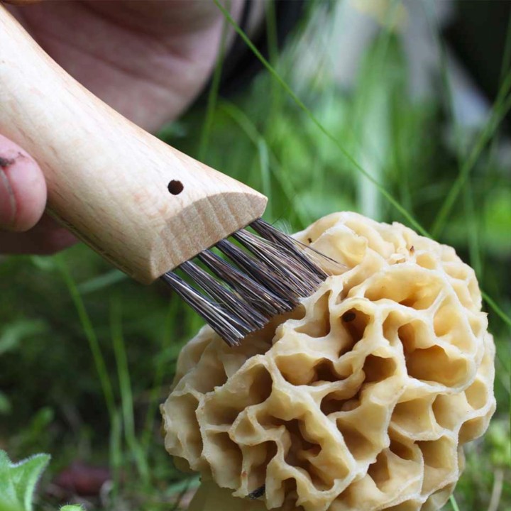 Nóż Opinel 8 na grzyby w blistrze-4 1037