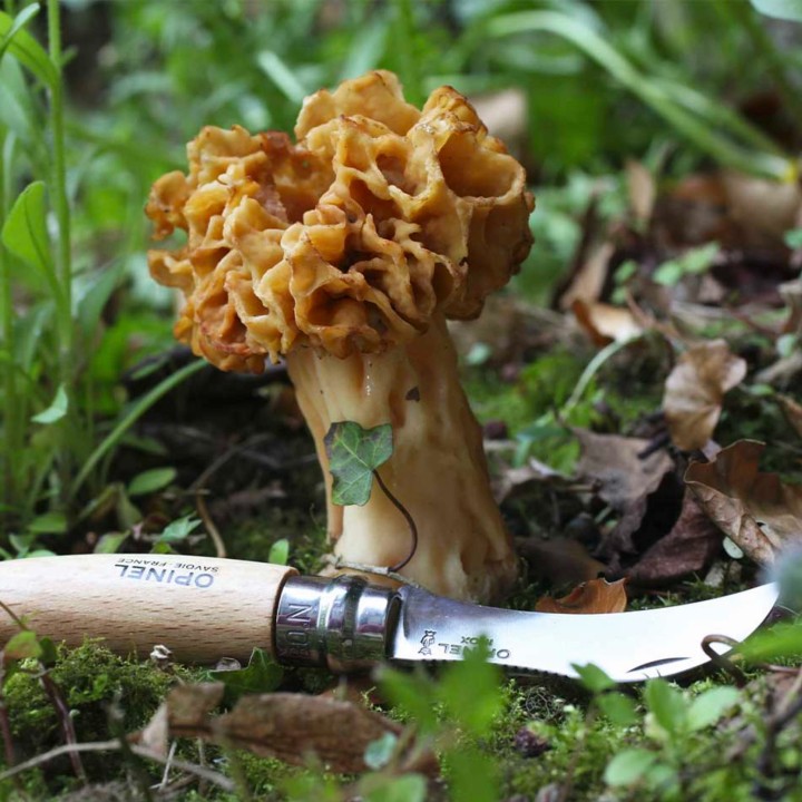 Nóż Opinel 8 na grzyby w blistrze-5 1037