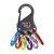 Brelok do kluczy Nite Ize S-Biner KeyRack- 1271