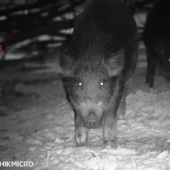 Celownik noktowizyjny noktowizor HIKMICRO Alpex 4K z uchwytem pod IR-11 1481