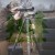 Luneta celownicza Vortex Venom 5-25x56 FFP 34 mm AO EBR-7C MOA/MRAD-13 1665  | 42579